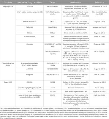 Cancer-associated fibroblasts and prostate cancer stem cells: crosstalk mechanisms and implications for disease progression